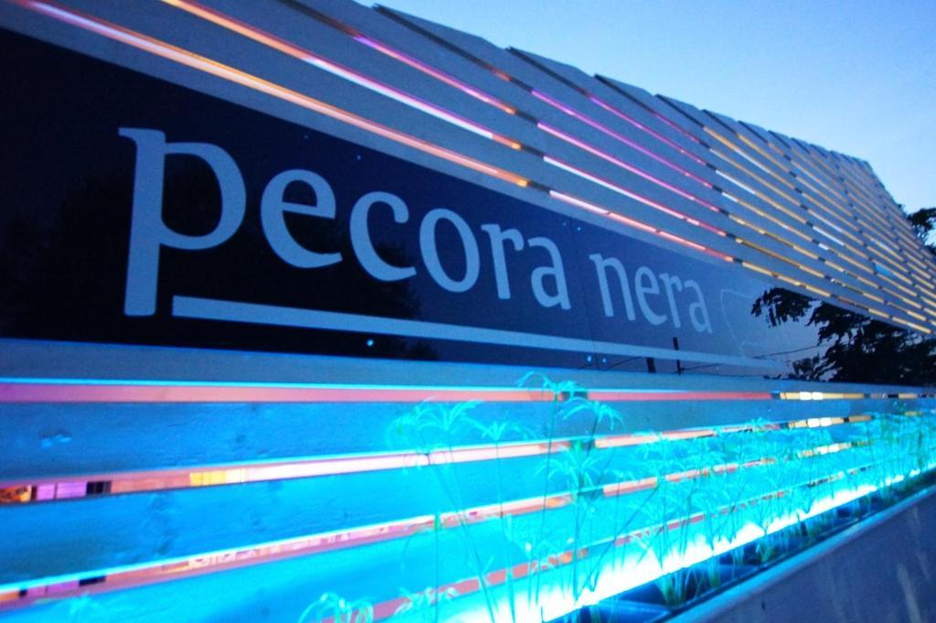 Гостевой дом Country-House Pecora Nera Мошано-Сант'Анджело Экстерьер фото